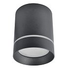 Светильник Потолочный Arte Lamp A1909PL-1BK ELLE