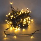 Гирлянда Sneha A-244 WW/W FLASH