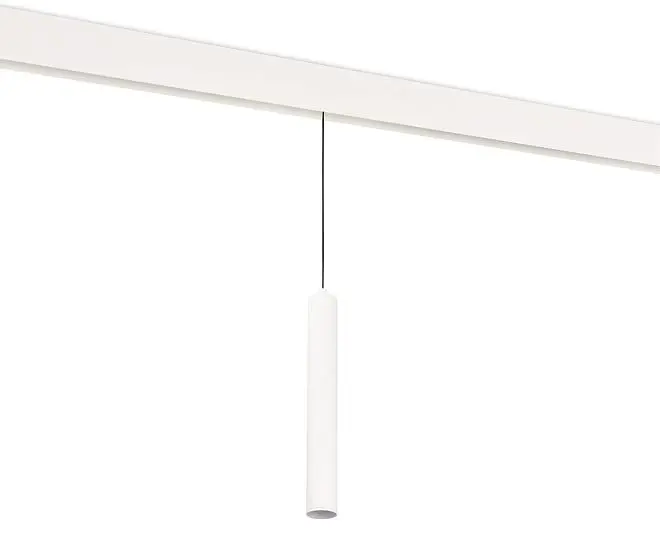 Трековый светильник Donolux DL20296WW10WS Charm для SPACE Track system 10W Трековый светильник Donolux DL20296WW10WS Charm для SPACE Track system 10W