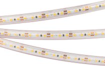 Светодиодная лента Arlight 022318(2) A120 PS
