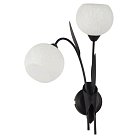 Настенный светильник Lussole LSF-6291-02 Bagheria