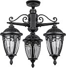 Потолочный светильник уличный Oasis Light 86370A 3 02 Bl FES