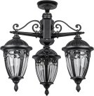 Потолочный светильник уличный Oasis Light 86370A 3 02 Bl FES