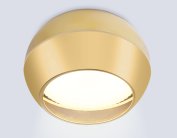 Потолочный светильник Ambrella light TN6640 GD золото IP44 GX53 D90*72