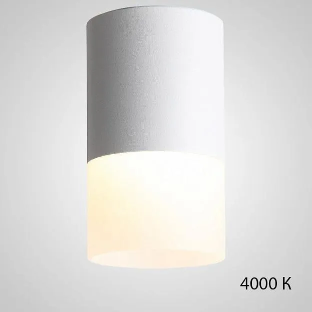 Точечный светильник TUGUR D7,8 White 4000 К ImperiumLoft 212525-23 tugur01