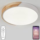 Потолочный светильник светодиодный Natali Kovaltseva LED LAMPS 81181 Scandinavian