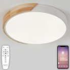 Потолочный светильник светодиодный Natali Kovaltseva LED LAMPS 81181 Scandinavian