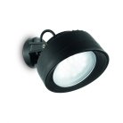 Уличный настенно-потолочный светильник Ideal Lux 145341 TOMMY LITIO