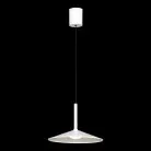 Подвесной светильник Lussole  LSP-7432 REFUGIO 