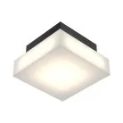 Накладной светильник Ledron DLC79012/4W Black