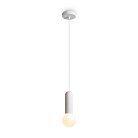 Подвесной светильник Freya FR5530PL-01W Shapes