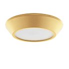 Накладной светильник Lightstar 214734 URBANO MINI