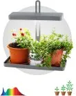 Светильник для растений ЭРА FITO-20W-QLED-G