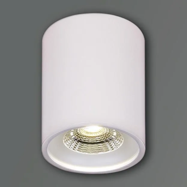 Точечный светильник Reluce 81117-9.5-001RT LED10W WT Точечный светильник Reluce 81117-9.5-001RT LED10W WT