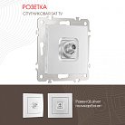 Розетка, SAT TV Arte Milano 206.42-1.silver am