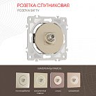 Розетка спутниковая, SAT TV Arte Milano 202.42-1.shampan am