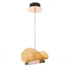 Подвесной светильник Cloyd 11351 Carudo