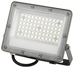 Прожектор уличный ЭРА LPR-063-0-65K-050