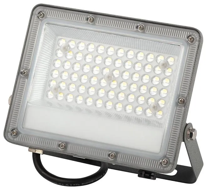 Прожектор уличный ЭРА LPR-063-0-65K-050