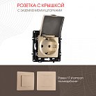Розетка Arte Milano 217.41-1.shampan am