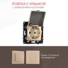 Розетка Arte Milano 217.41-1.shampan am