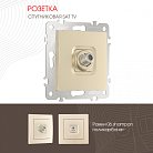 Розетка, SAT TV Arte Milano 206.42-1.shampan am
