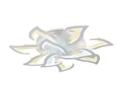 Потолочная люстра Ambrella ligh FA4473t Acrylica Original