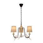 Подвесная люстра Loft It Loft1029A-3 Birds