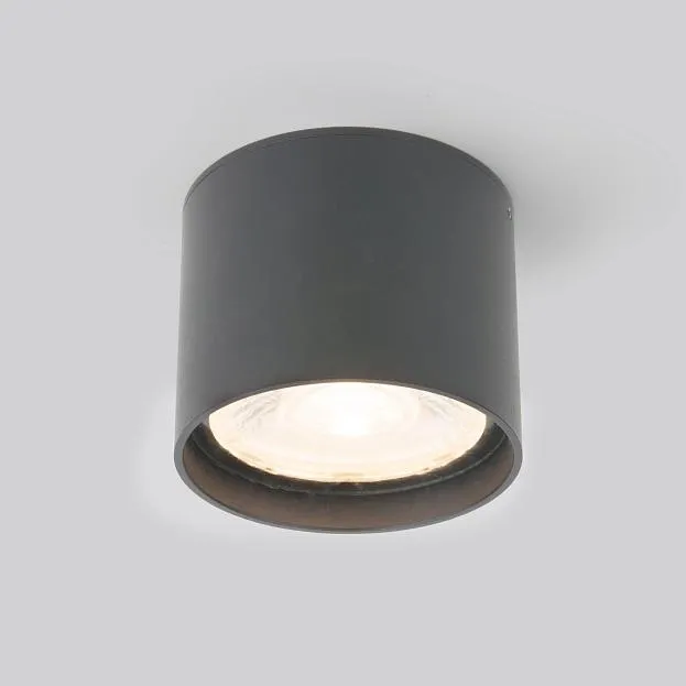 Уличный потолочный светильник Elektrostandard 35132/H Light LED 2105 a056271 Уличный потолочный светильник Elektrostandard 35132/H Light LED 2105 a056271