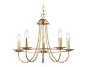 Подвесная люстра Ambrella light TR9615/5 CGD