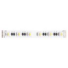 Светодиодная лента 24V 14,4W/m RGB+W 3000К 5м Arte Lamp A2406012-02-RGB3K TAPE
