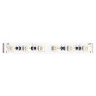 Светодиодная лента 24V 14,4W/m RGB+W 3000К 5м Arte Lamp A2406012-02-RGB3K TAPE