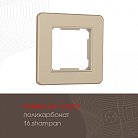 Рамка из поликарбоната на 1 пост Arte Milano 502.16-1.shampan am