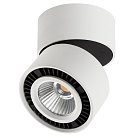 Накладной светильник Lightstar 213816 FORTE MURO