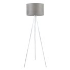 Торшер LightHall LH012038 Dream