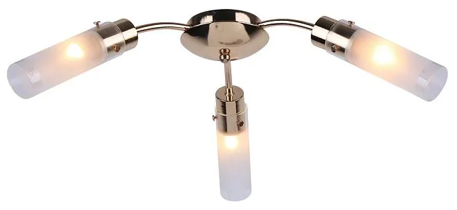 Потолочный светильник Escada 138/3PL