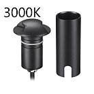 Встраиваемый грунтовый светильник Odeon Light 6662/2GL3 WALD