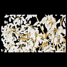 Подвесная люстра Wertmark WE193.13.403 DOROTHY