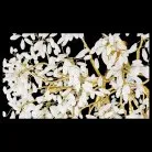 Подвесная люстра Wertmark WE193.13.403 DOROTHY