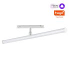 Трековый светильник Tuya Smart Life IP20 LED 12W 48V 3000-6000K Novotech 359447 FLUM