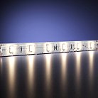Светодиодная лента Led Strip Maytoni 201014