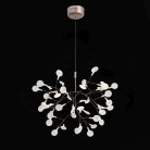 Люстра подвесная ST LUCE SL379.203.45 RAFINA