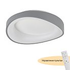 Потолочный светильник MyFar MR9190-CL Diona