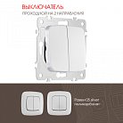 Выключатель двухклавишный проходной (на 2 направления), 10AX 250V Arte Milano 205.32-2.silver am