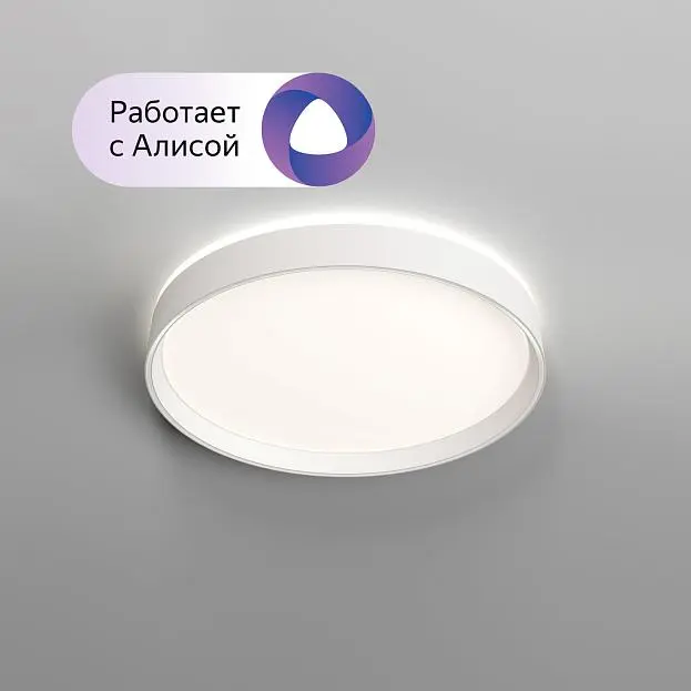 Накладной светильник Denkirs DK6510-WH PLATO Накладной светильник Denkirs DK6510-WH PLATO