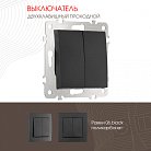 Выключатель двухклавишный проходной (на 2 направления), 10AX 250V Arte Milano 206.32-2.black am