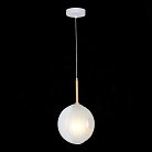 Подвесной светильник ST Luce SL1183.503.01 Foligno