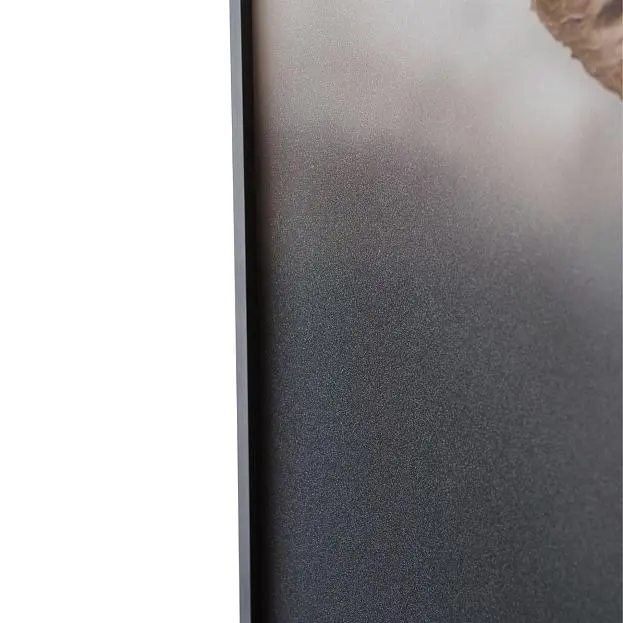 Декоративная картина Lumina Deco FP Elephant 80-120