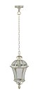 Уличный светильник подвесной Oasis Light 95205L Gw ROMA L
