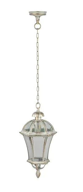 Уличный светильник подвесной Oasis Light 95205L Gw ROMA L